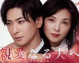 致親愛的丈夫 完美妻子的謊言海報(bào)