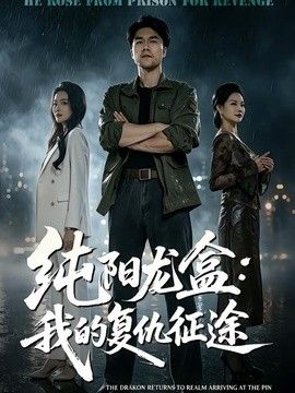 純陽(yáng)龍盒：我的復(fù)仇征途海報(bào)