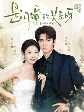 是閃婚的關系呀海報